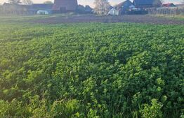 Teren Intravilan Feldioara cu toate utilitatiile-vedere spre munte