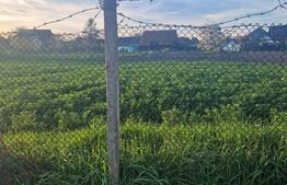 Teren Intravilan Feldioara cu toate utilitatiile-vedere spre munte