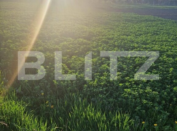 Teren de vânzare Exterior Nord - 138721TV | BLITZ Brașov | Poza2