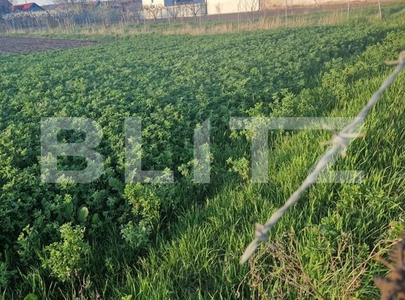 Teren de vânzare Exterior Nord - 138721TV | BLITZ Brașov | Poza5