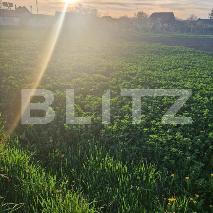 Teren de vânzare Exterior Nord - 138721TV | BLITZ Brașov | Poza2