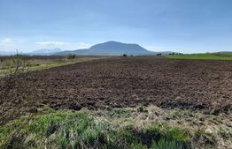 TEREN Extravilan 15000 MP în Zona Codlea 