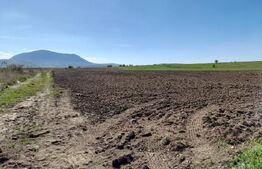 TEREN Extravilan 15000 MP în Zona Codlea 
