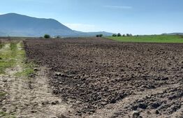 TEREN Extravilan 15000 MP în Zona Codlea 