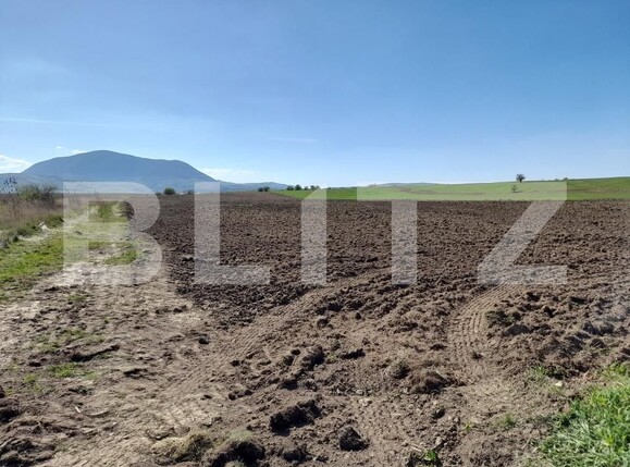 Teren de vânzare Codlea - 138749TV | BLITZ Brașov | Poza3