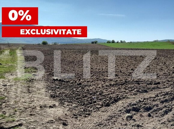 Teren de vânzare Codlea - 138749TV | BLITZ Brașov | Poza1