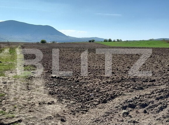 Teren de vânzare Codlea - 138749TV | BLITZ Brașov | Poza4