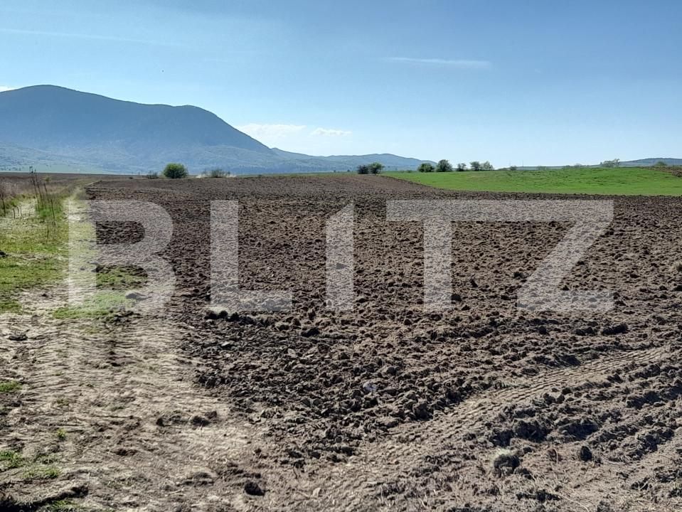 Teren de vânzare Codlea - 138749TV | BLITZ Brașov | Poza4
