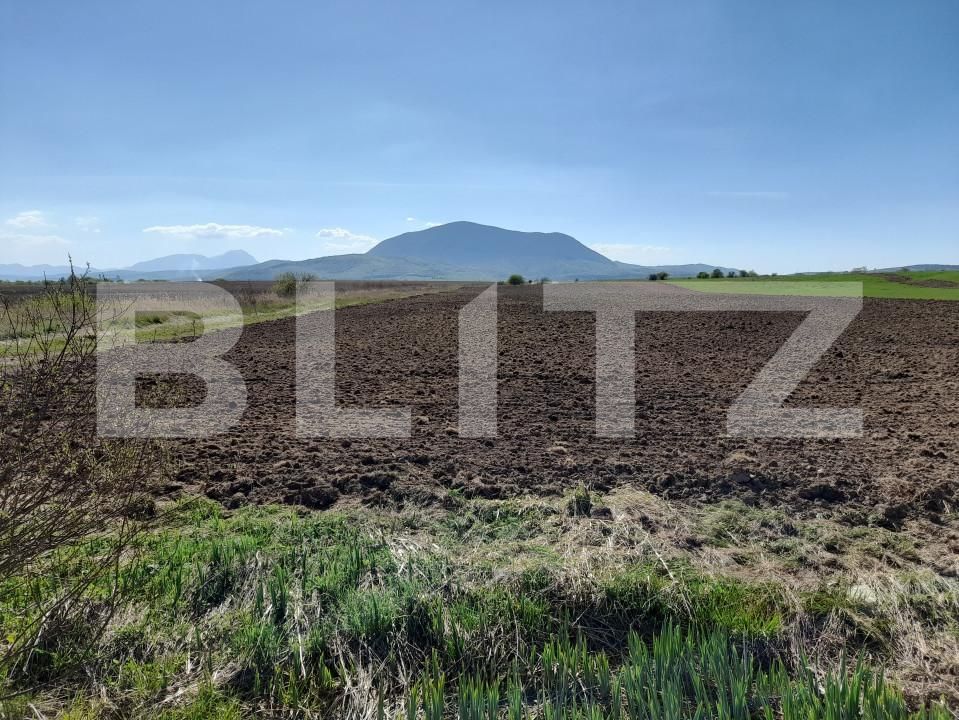 Teren de vânzare Codlea - 138749TV | BLITZ Brașov | Poza2
