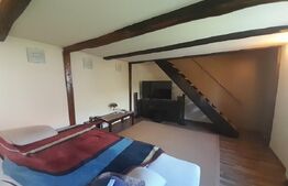 CASĂ SĂSEASCĂ 4 camere 1000 mp TEREN în comuna HĂLCHIU Satul NOU