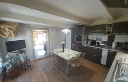 CASĂ SĂSEASCĂ 4 camere 1000 mp TEREN în comuna HĂLCHIU Satul NOU