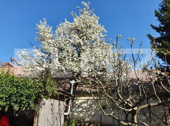 Casa de vânzare 3 camere Exterior Est - 138754CV | BLITZ Brașov | Poza9