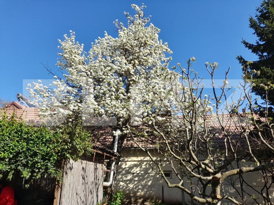 Casa de vânzare 3 camere Exterior Est - 138754CV | BLITZ Brașov | Poza9