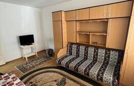 Garsoniera, 30 mp, zona Expo Transilvania 