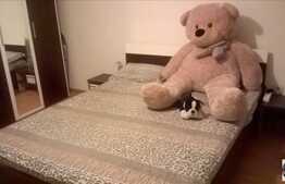 2 camere, 60 mp, balcon de 8 mp, zona Florilor! Decomandat! Mobilat modern!