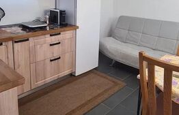 Casă de vacanta localizată excelent, de 48mp, cu 350mp teren, zona Roata Făget