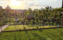 Casă de vacanta localizată excelent, de 48mp, cu 350mp teren, zona Roata Făget