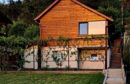 Casă de vacanta localizată excelent, de 48mp, cu 350mp teren, zona Roata Făget