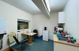 Spatiu comercial cu depozitare, 410 mp, zona Cipariu