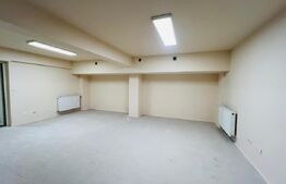 Spatiu comercial cu depozitare, 410 mp, zona Cipariu