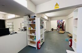 Spatiu comercial cu depozitare, 410 mp, zona Cipariu