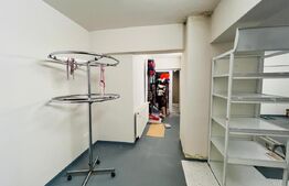 Spatiu comercial cu depozitare, 410 mp, zona Cipariu