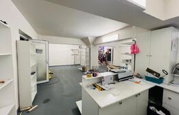 Spatiu comercial cu depozitare, 410 mp, zona Cipariu