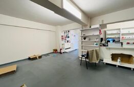 Spatiu comercial cu depozitare, 410 mp, zona Cipariu