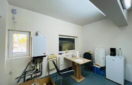 Spatiu comercial cu depozitare, 410 mp, zona Cipariu