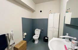 Spatiu comercial cu depozitare, 410 mp, zona Cipariu