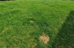 Casa deosebita, stil meditaranean, garaj, 500 mp de teren, zona Catanelor