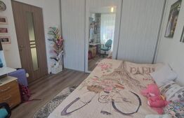 Casa 3 camere, P+1-curte, curte individuala mobilata Triaj