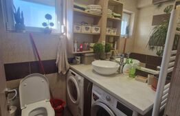 Casa 3 camere, P+1-curte, curte individuala mobilata Triaj