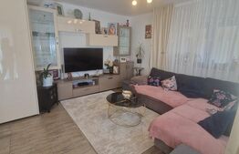 Casa 3 camere, P+1-curte, curte individuala mobilata Triaj