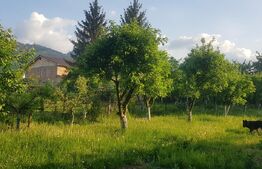 Casa Sacele 4 camere