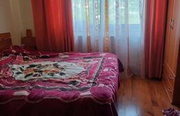 Apartament 3 camere, Zona Noua 60mp