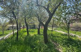 Casa individuala, 234 mp, teren 596 mp, totul nou, panorama, Dambul Rotund