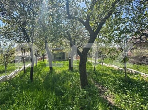 Casa de vânzare 4 camere Dambul Rotund - 139118CV | BLITZ Cluj-Napoca | Poza5