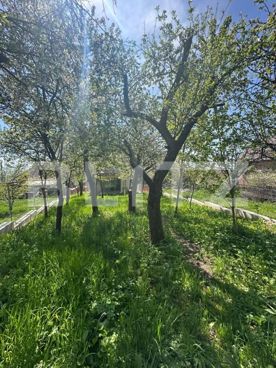 Casa de vânzare 4 camere Dambul Rotund - 139118CV | BLITZ Cluj-Napoca | Poza5