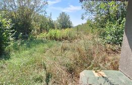 Casa renovabila cu 3 camere, teren generos de 1350 mp, Jucu de Sus 