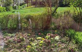 Apartament 3 camere , 70 mp, zona centrala 