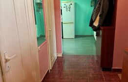 Apartament 1 camera , 48 mp , zona Centrala 