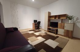 Apartment 2 camere ( Grivitei) 