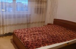 Apartment 2 camere ( Grivitei) 