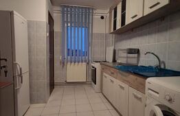 Apartment 2 camere ( Grivitei) 
