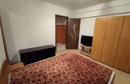 Apartment 2 camere ( Grivitei) 