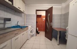 Apartment 2 camere ( Grivitei) 