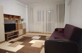 Apartment 2 camere ( Grivitei) 