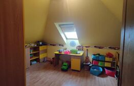 Casa individuala spatioasa 280 mp, teren 260 mp, Iris, zona garii