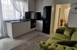 Apartament de inchiriat -renovat complet- zona Brancusi